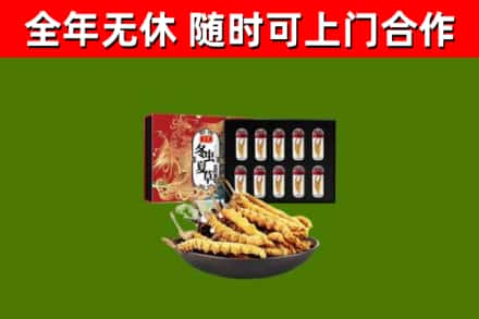 合作市烟酒回收冬虫夏草礼盒.jpg